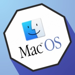 TRASSIR Client(MacOS)